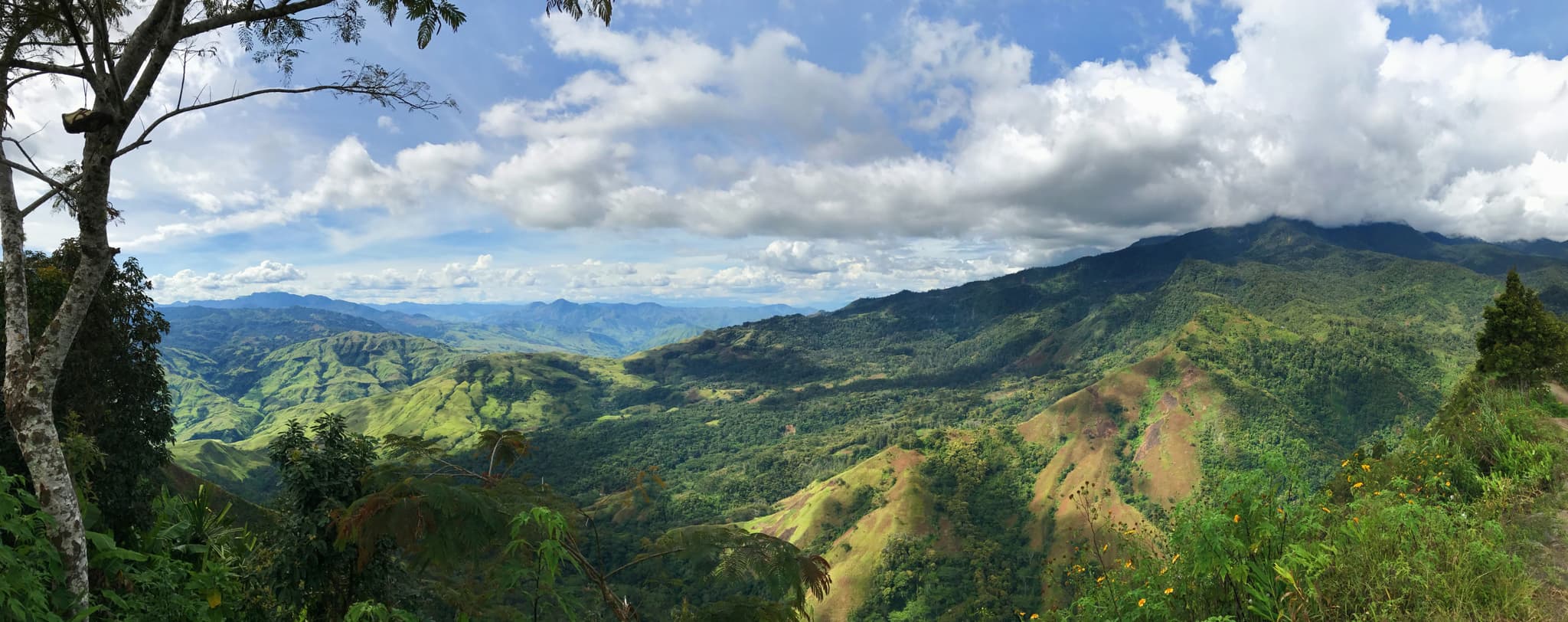 Wewak